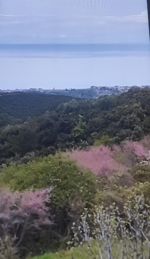 Villa Πανοραμα à Aigani Extérieur photo